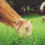 探索AS棋牌的魅力:让你沉浸在棋牌世界的乐趣中 4dr3blkj