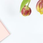 探索evo视讯:引领在线娱乐平台的新趋势 877g0ffzia