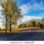 探索c7娱乐注册平台的优势与用户体验 o2ygfaxwm6