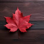 探索6t体育官网:为您提供最新体育赛事信息与精彩直播 p2nukbh