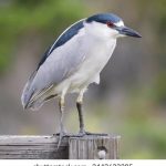 探索bet9酷游:畅享多样化的在线游戏体验 sre2g