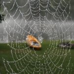 德信体育如何推动全民健身与健康生活理念的普及 ya8zf