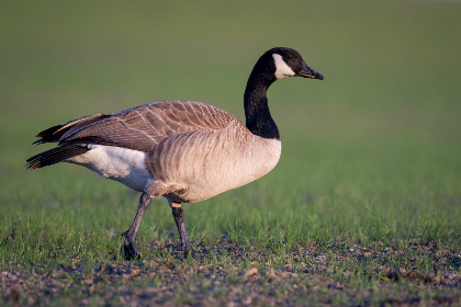 267期开奖前后关键走势分析预测 267期开奖前后关键走势分析预测